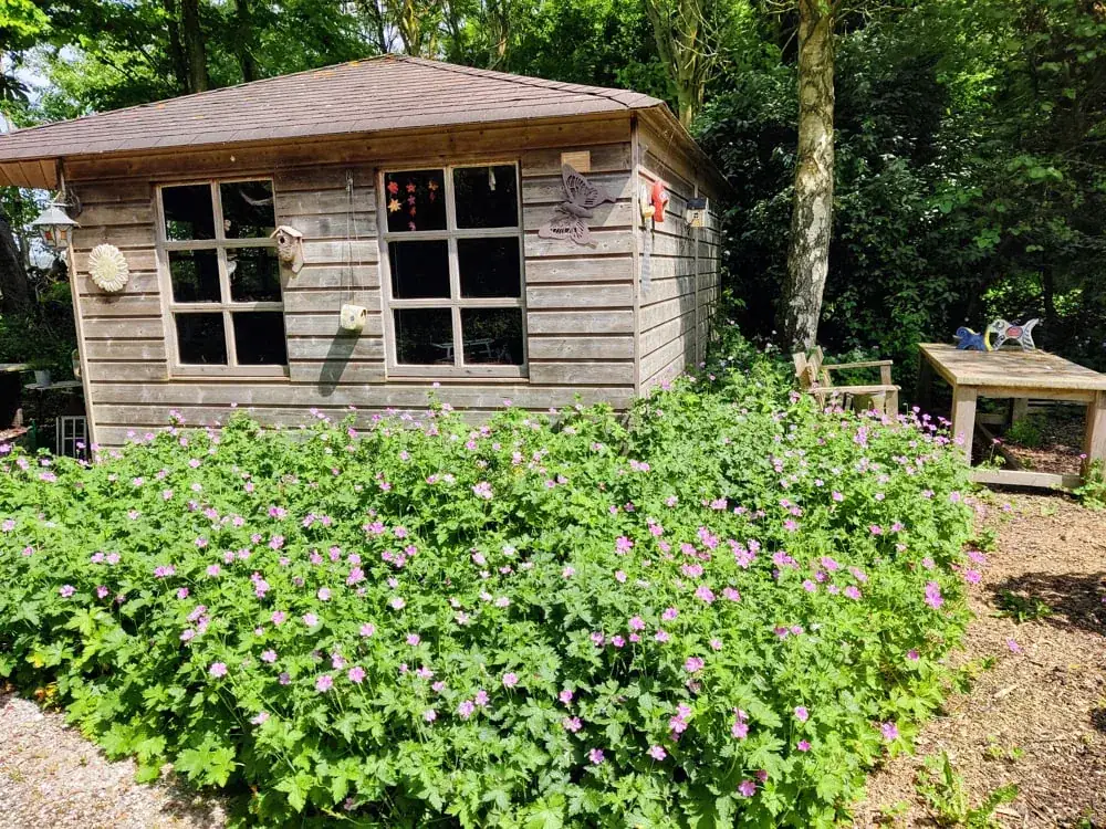 Terras aan de vijver