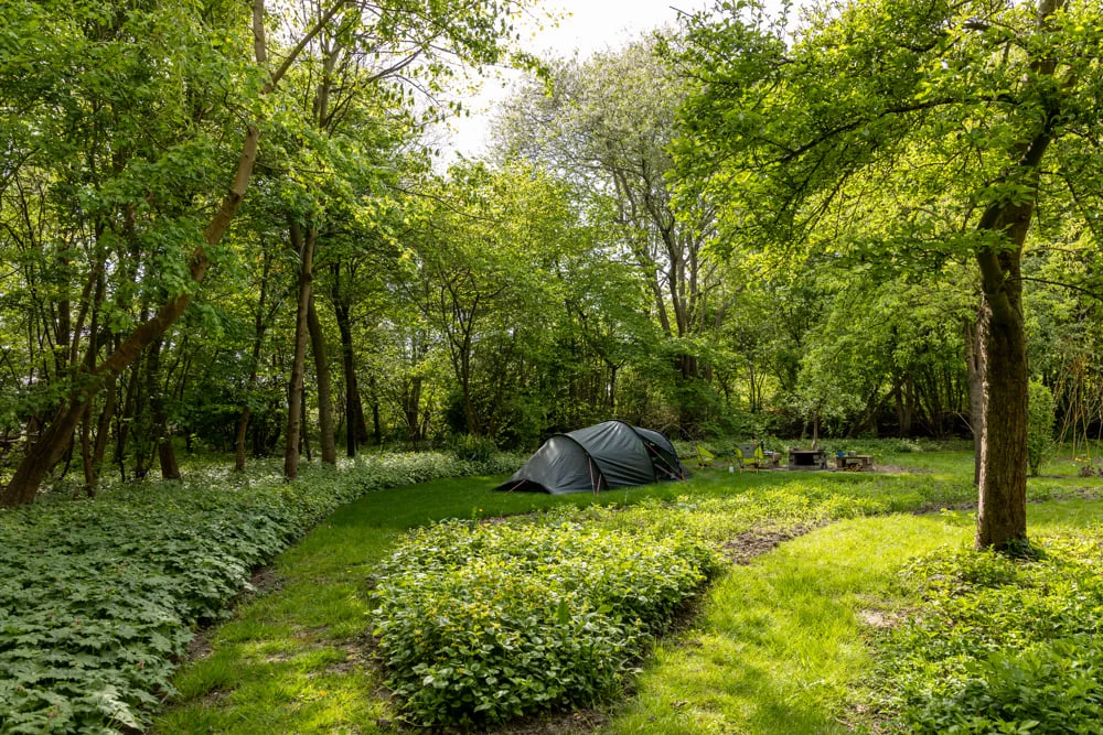 Natuurcamping